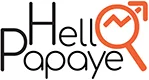 Consultant Seo Pour Les Saas Hello Papaye 80